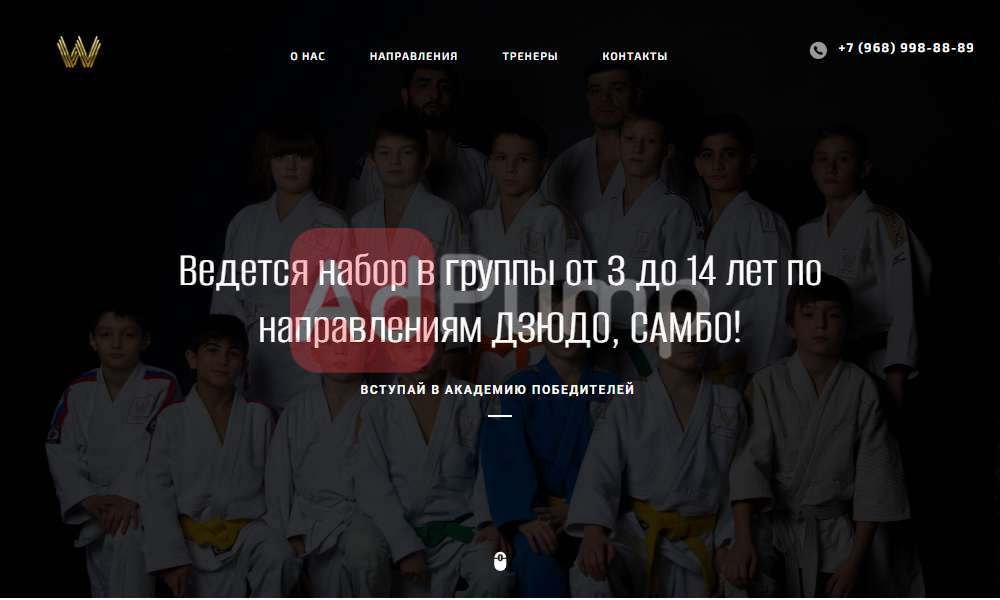 Академия Победителей