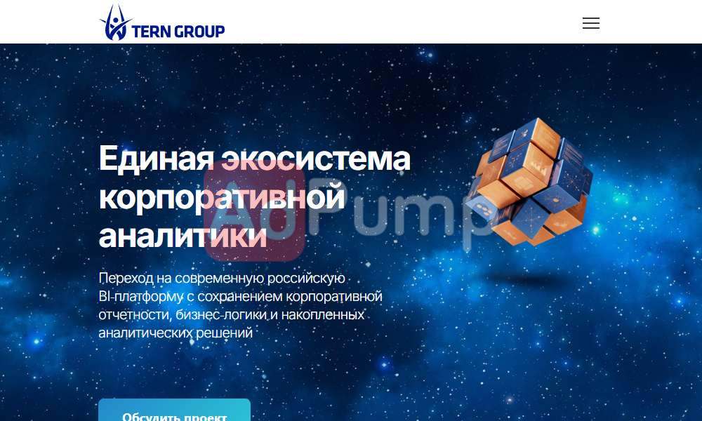 Бизнес аналитика