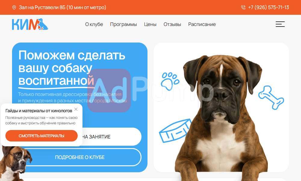 Дрессировка собак