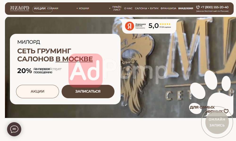 Груминг собак