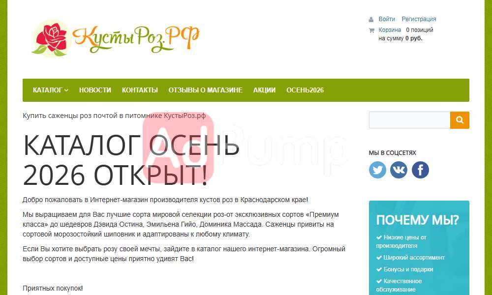 Кустовые розы