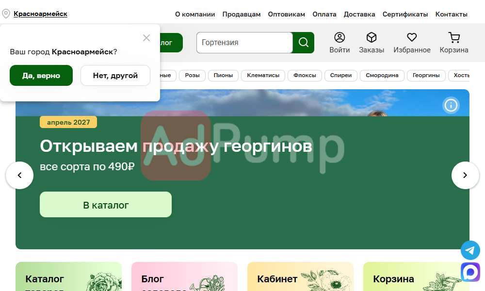 Живые изгороди / туи